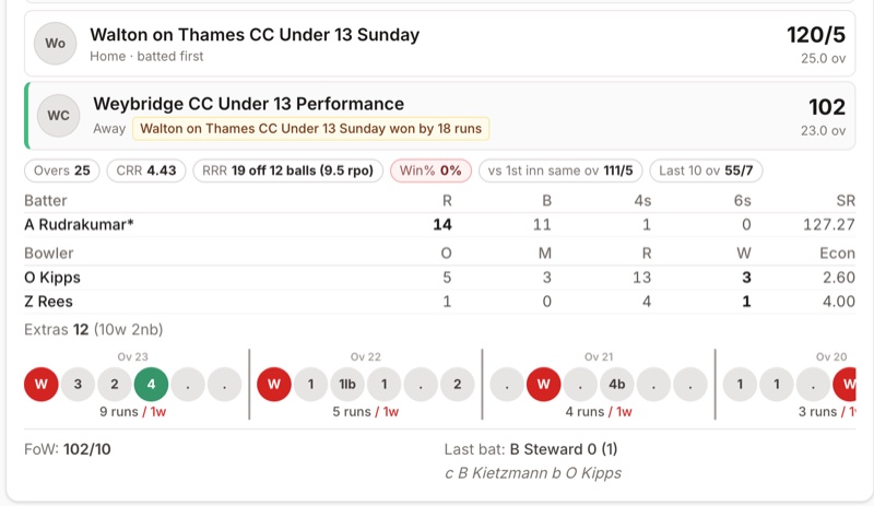 Live match summary